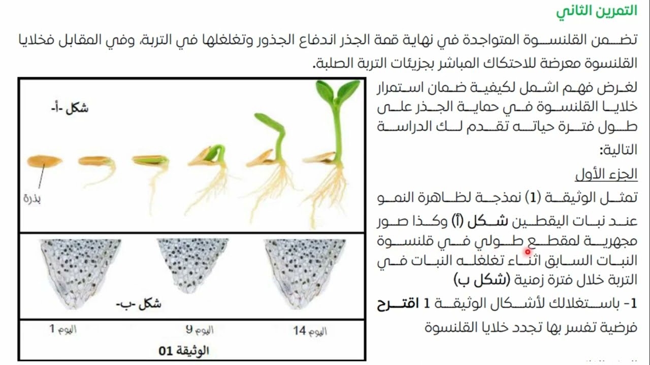 الفرض الاول في العلوم الطبيعية للسنة الاولى ثانوي علمي