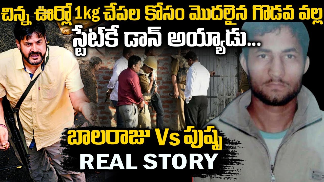 1kg చేపల కోసం మొదలైన గొడవ స్టేట్ కె డాన్ ని చేసింది| Balaraj Bhati pushpa katari story | Teluguwaves
