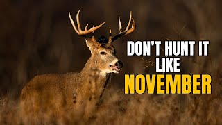 5 Early Rut Tactics That Actually Work