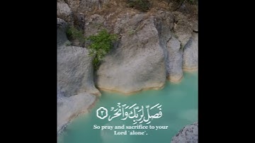 سورة الكوثر بصوت القارئ بيشوا قادر الكردي