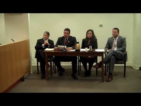 Anthony Mele testifies to the NYC Council Internat...