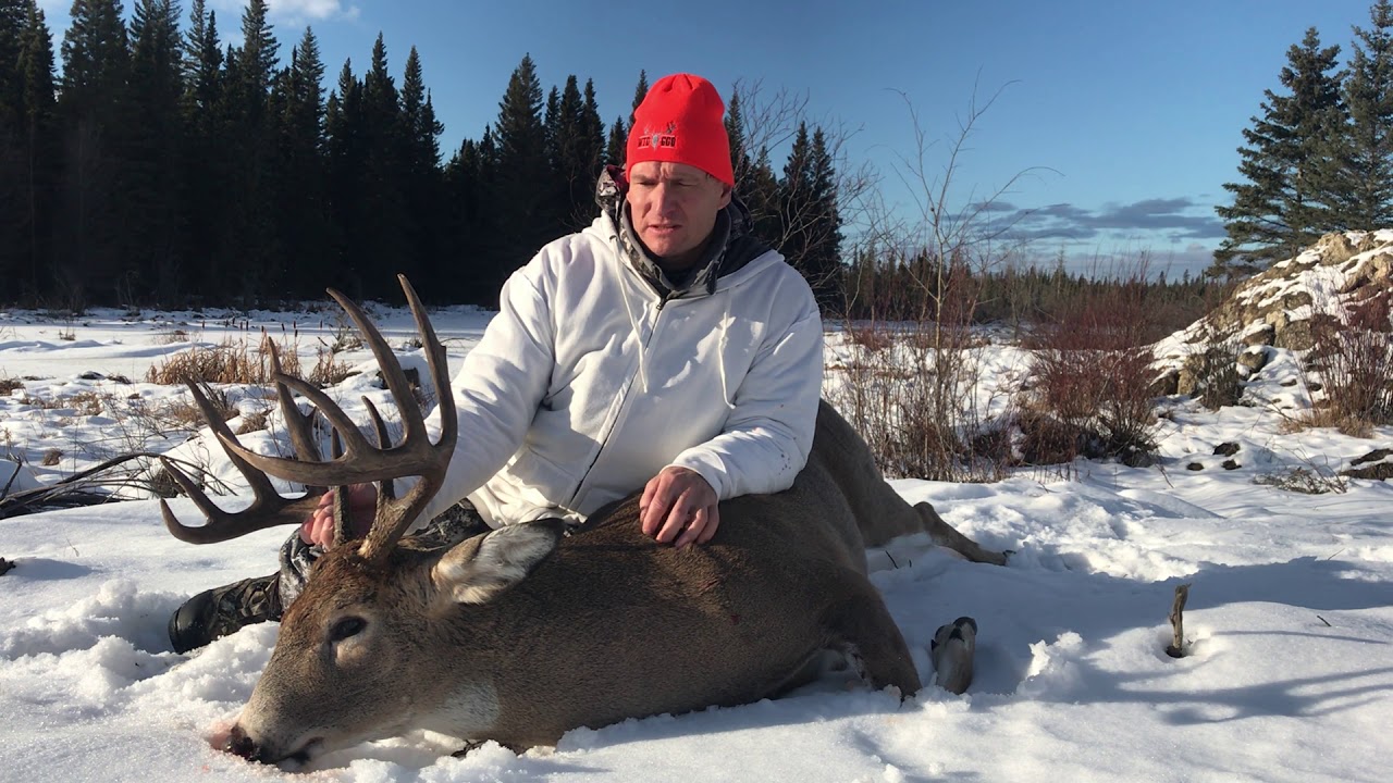 Deer Hunting testimonial Great Grey Outfitters YouTube