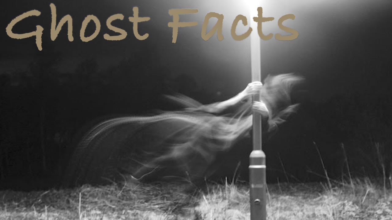 Daily 10s Scary Ghost Facts Compilation YouTube Daily 10s scary ghost facts compilation youtube