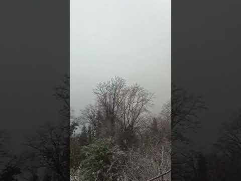 Лазаревское снег 14