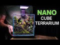 I made a breathtaking nano cube terrarium heres how