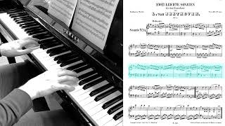 Adult piano learning. Month 25. Beethoven Sonatina in G. First movement.