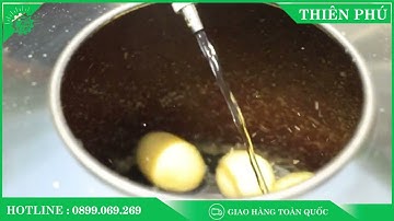 Máy Gọt Vỏ Khoai Tây YQ350 | 0899.069.269