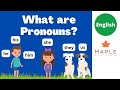 Understanding Pronouns