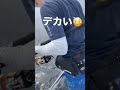 巨大魚はここが1番緊張する「ミスった💦」あ〜😱