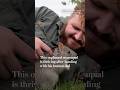 This orphaned marsupial is thriving after bonding with his human dad