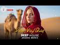 Arabic House Music | Desert Oasis Deep House Mix | Oriental Electronic 2026 - Desert Vinyl Quiet