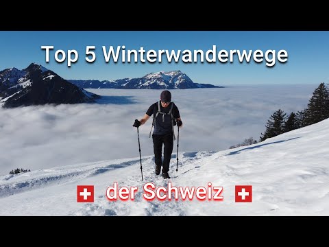 Video: Die besten Winterwanderungen in der Gegend von Seattle