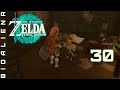 THE LEGEND OF ZELDA: TEARS OF THE KINGDOM - Прохождение pt30 - Когда всё же... поступил в институт