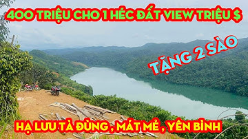 Bán1Héc Tặng 2 Sào,View Cực Đẹp Tại Hạ Lưu TÀ ĐÙNG,Khí Hậu Mát Mẻ,Phù Hợp Nghỉ Dưỡng,giá 400 TRIỆU