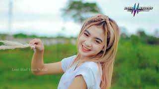 Dj Remix Play Alan Walker Dj R2 Project
