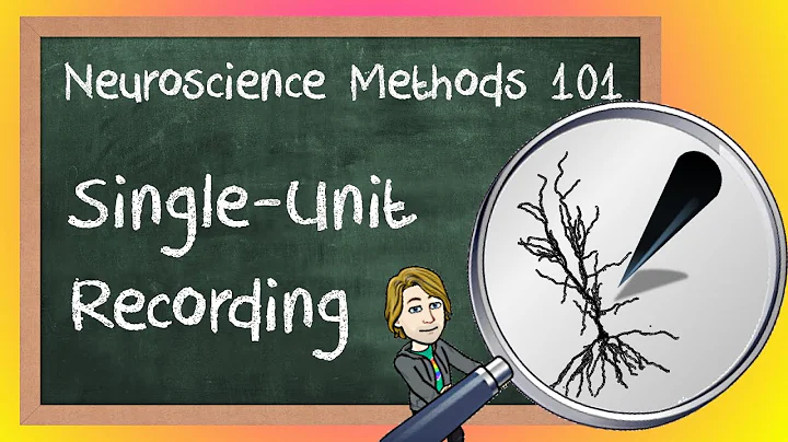 Single-Unit Recording Explained! | Neuroscience Methods 101