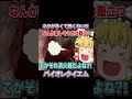 ネタが多くて怖くないバイオ part6【バイオハザードレクイエム】【ゆっくり実況】