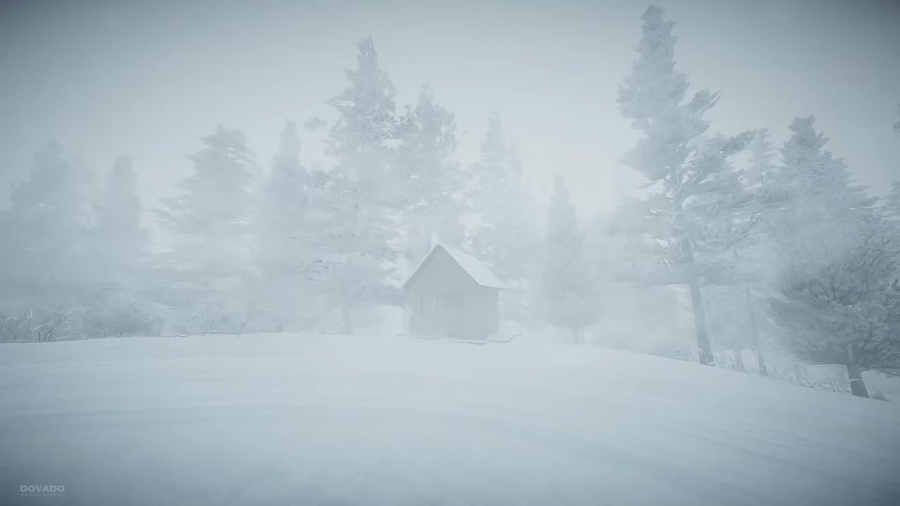 Epic Snowstorm 10 Hours Version Howling Blizzard Sounds Heavy Wind ...