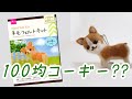 【羊毛フェルト】100均コーギー作りました！【ダイソー新作】