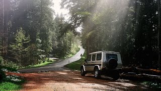 POV: Photographing a 1993 Mercedes GClass in the Forest