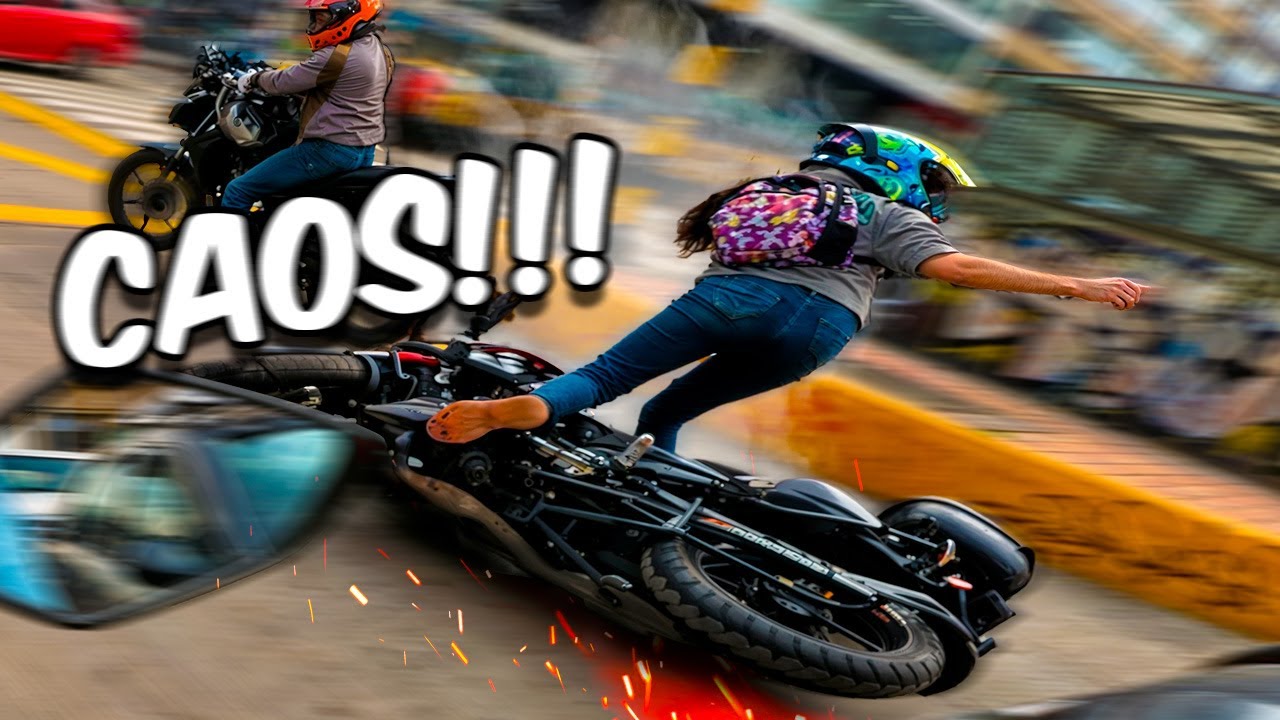 La calle es una selva de cemento - Observaciones diarias 23