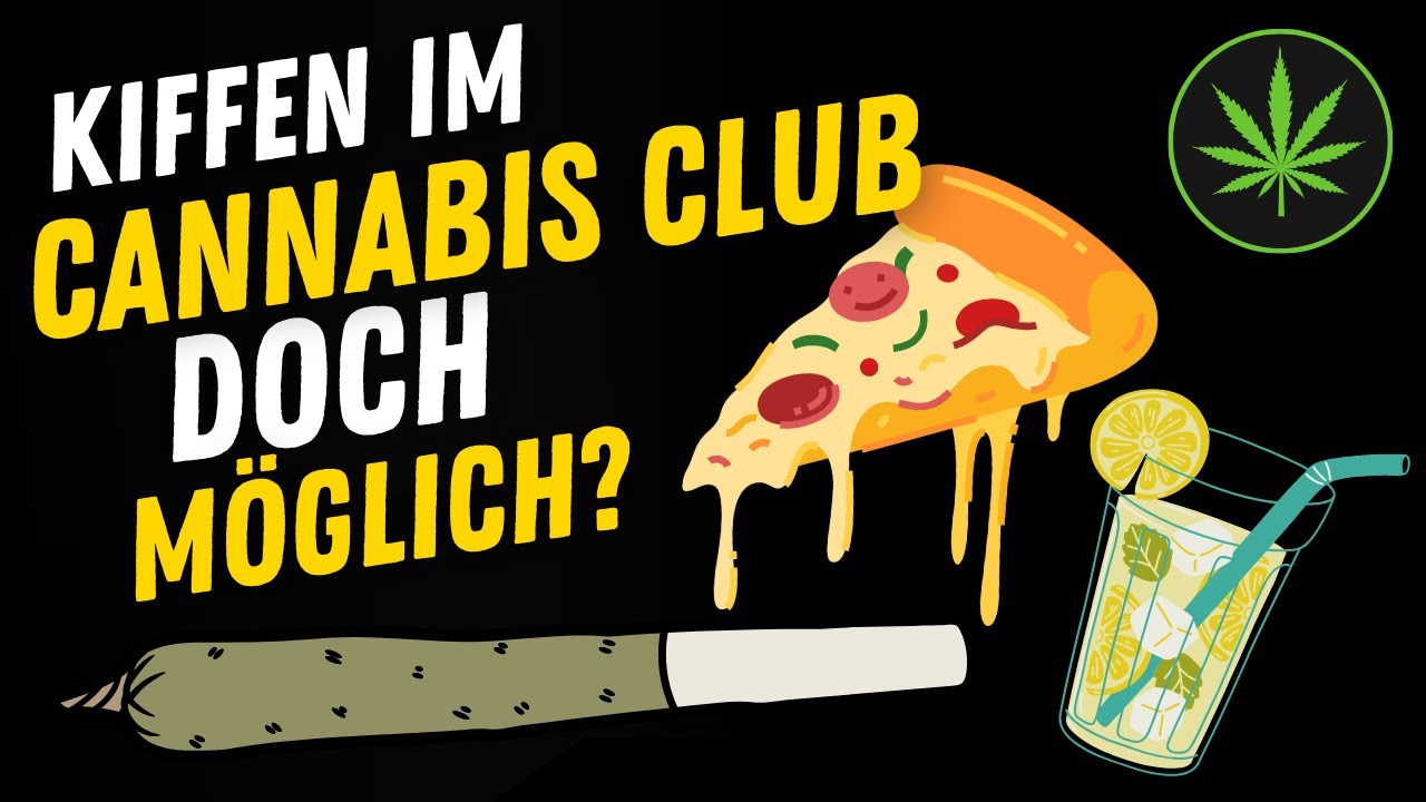 Joint drehen Anleitung 🔥 7 Schritte zur perfekten Tüte