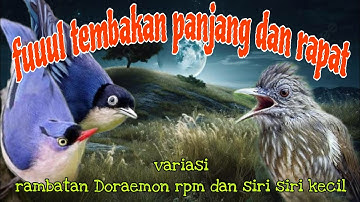 Fuuul tembakan rapat 🔥🔥 rambatan Doraemon Rpm dan siri siri kecil
