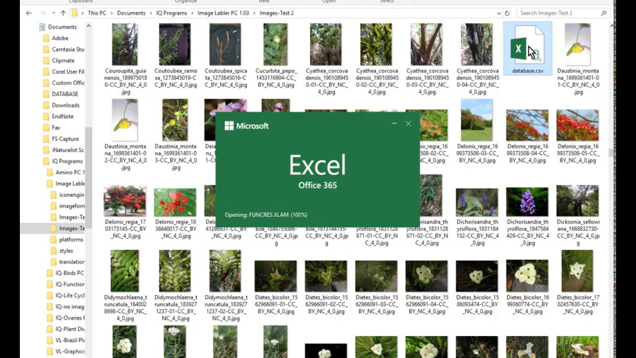 Image Labeler for use with VL programs