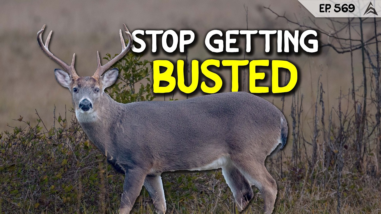 The Key to Hunting Bucks On A SMALL PROPERTY!