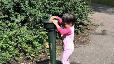 Ru con mùa đông - Nhạc Đặng Hữu Phúc, thơ Phan Đan - ca sỹ Ái Vân