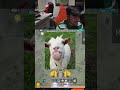 Free Fire Game is So UNPREDICTABLE 😭