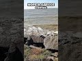 Море В Одессе 08.10.2025 – Тёплая Вода, Погода, Пляжи, Осенний Отдых На Море 🌊☀️ 5