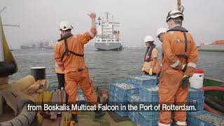 BlueLinked ReefBooster in BOOST project - LONG