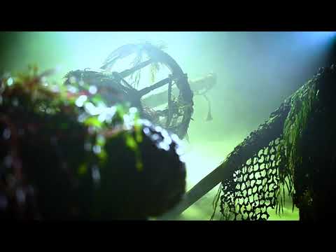 A New Terror Has Surfaced | Howl-O-Scream Orlando