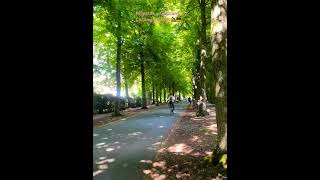 Welcome to Münster– the ultimate bike city in Germany! 🇩🇪 #münster #germany #münsterland #bikelife
