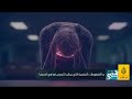مجنون ليلى.. وهرمونات الصيف! 😓 كيف يغيّر الحر نفسيّتك وسلوكك؟