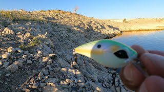 Fishing Elephant Butte from the Bank