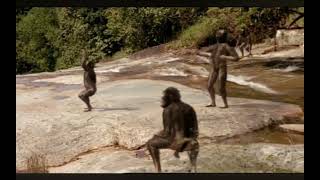 Australopithecus territory battle. Walking with beast (2001)
