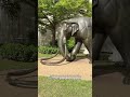 Experience Fair Park's hidden history