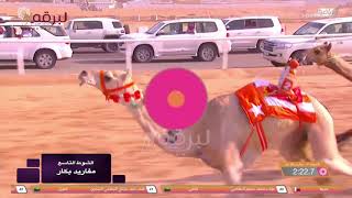 ملخص سباق المفاريد (أشواط عامة) بمهرجان ولي عهد المملكة العربية السعودية - صباح ١٠-٨-٢٠٢١