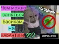 Что можно поделать с БАСИКОМ на кАРанТинЕ