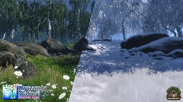 Dynamic Nature - Starter