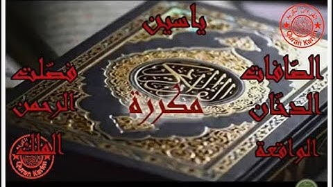 سورة ياسين، الصّافات، فصّلت، الدخّان، الرحمن، الواقعة و الملك مكررة للبيت بإذن الله|عبدالرحمن الماجد