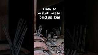 How to install metal bird spikes - in under 1 minute