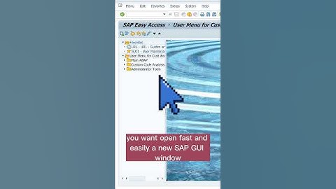 SAP GUI Shortcut: 💪 Open new Window (Ctrl + +) #sap #shortcut #tips
