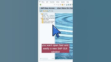 SAP GUI Shortcut: 💪 Open new Window (Ctrl + +) #sap #shortcut #tips