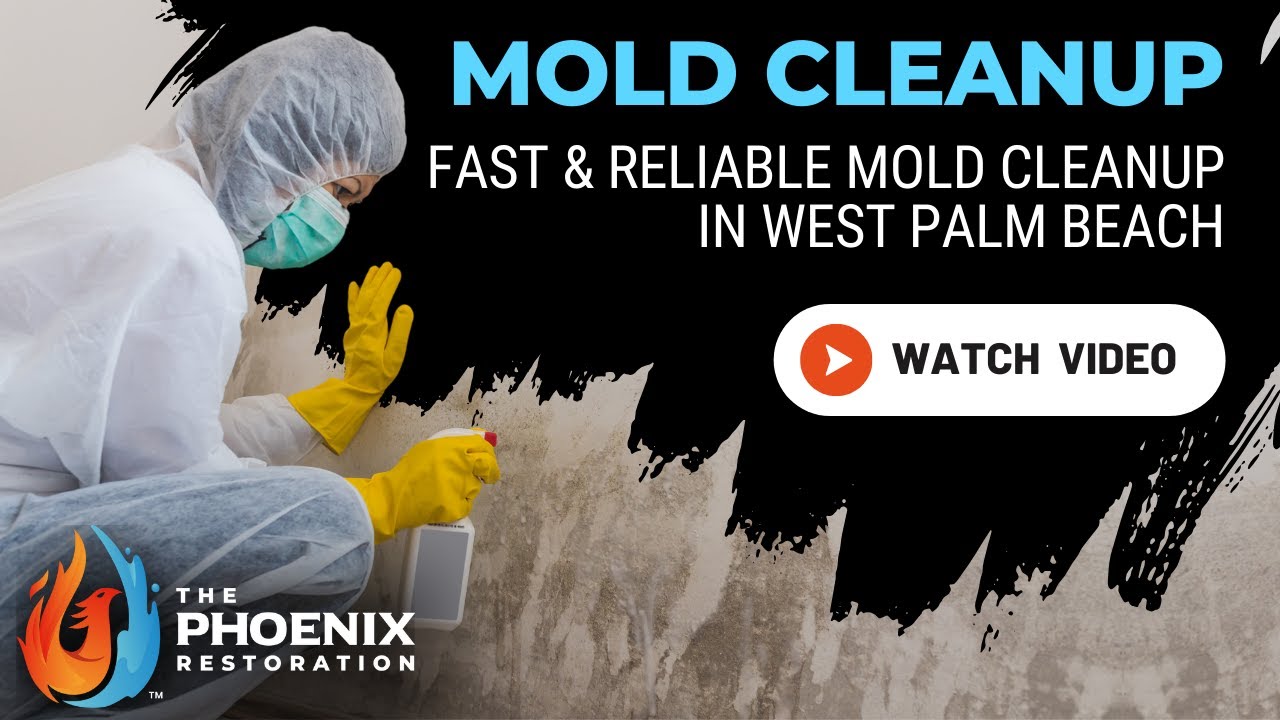 Mold Cleanup  West Palm Beach FL | The Phoenix Restoration | 954-866-8408 