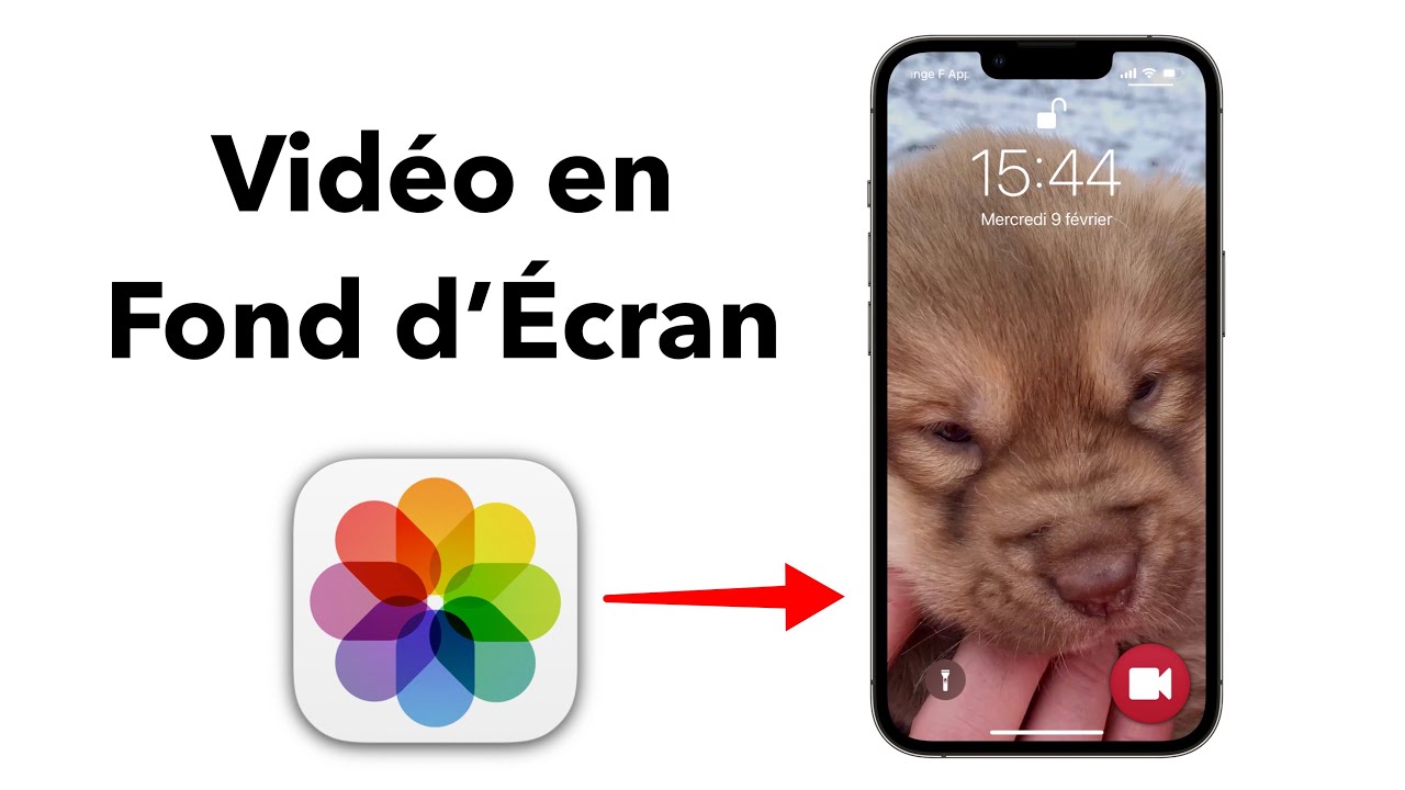 Comment Mettre Une Vidéo En Fond D'écran IPhone ?