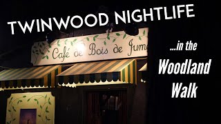 Twinwood Festival - Nightlife in The Woodland Walk.