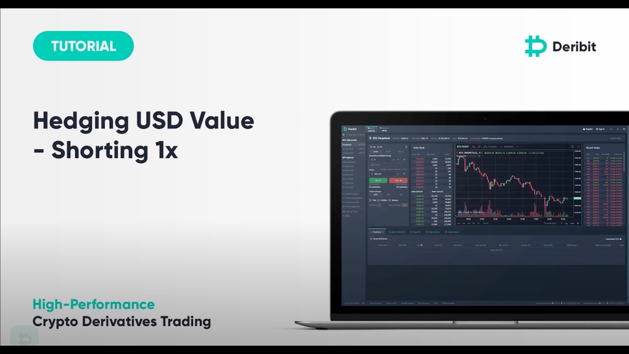 Hedging USD Value By Shorting 1x - Deribit Insights